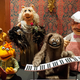 Illustration for article titled 21 Muppets Find a Much-Deserved Home at the Smithsonian